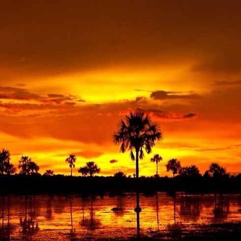 Ruta Aterdecer Llanero Marzo 2026