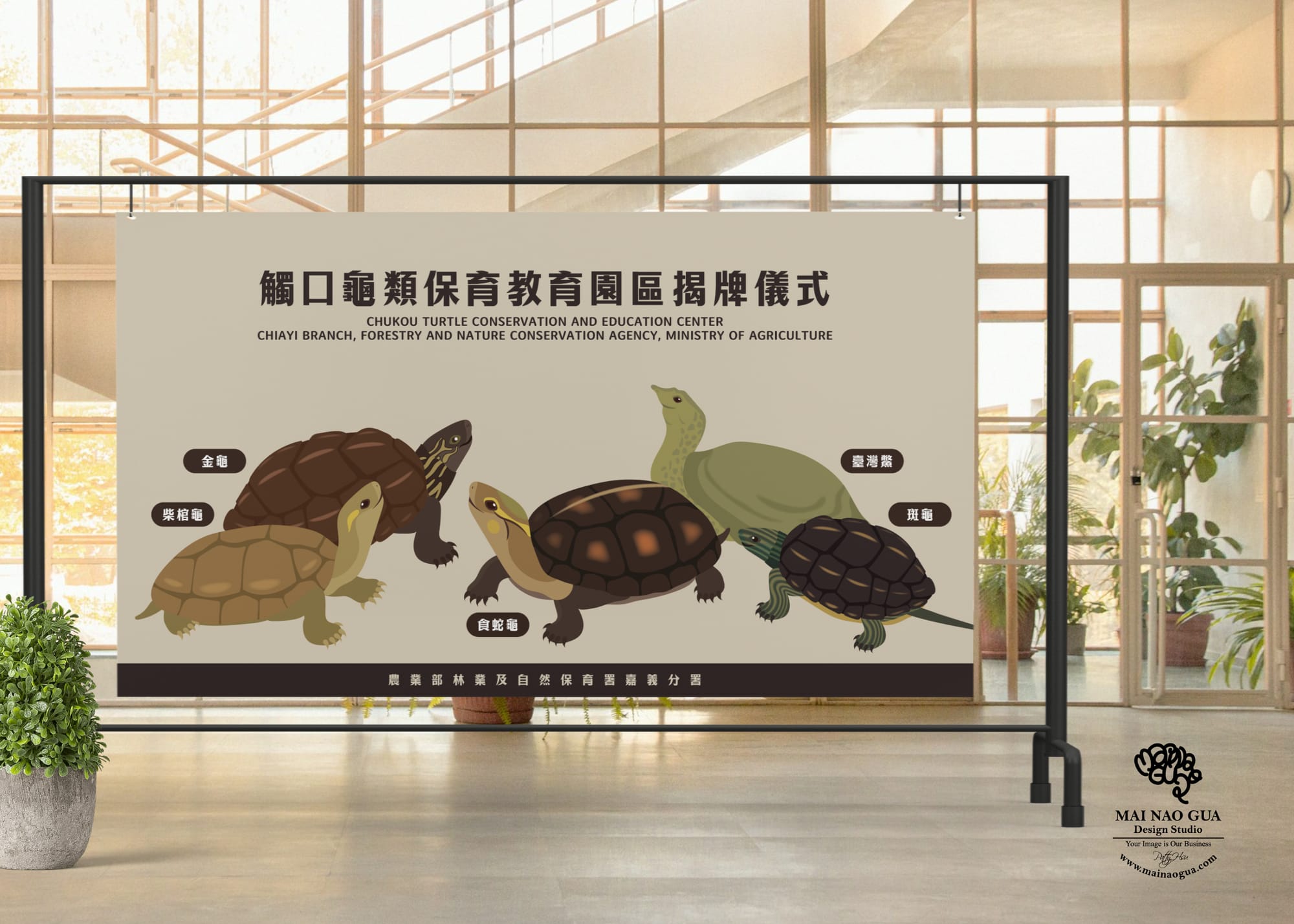 農業部觸口龜類保育中心開幕視覺