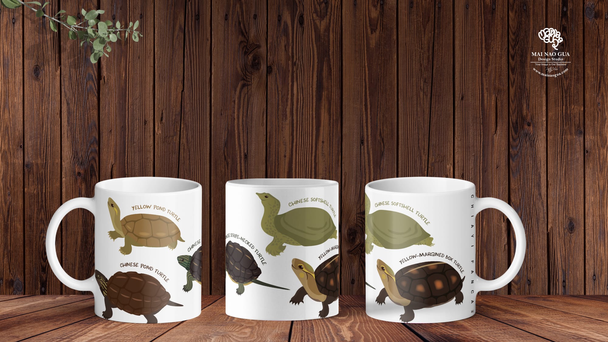 農業部觸口龜類保育中心開幕視覺