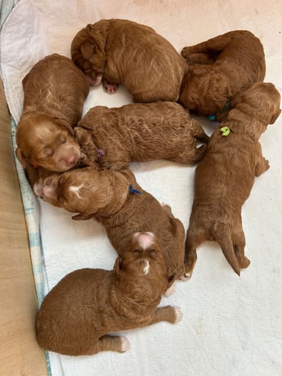 Herzlichen Glückwunsch