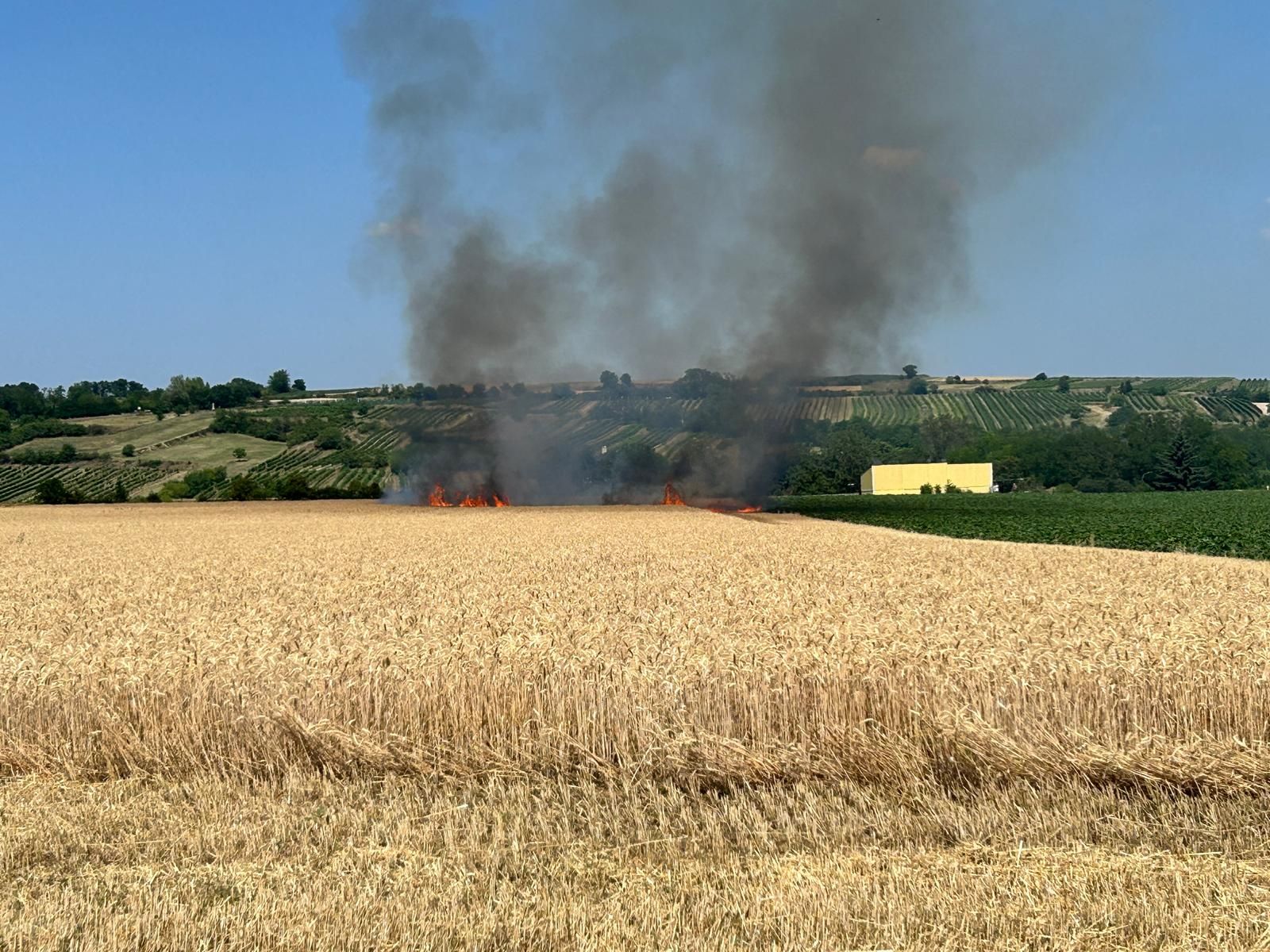 B2 - Vegetationsbrand Feld