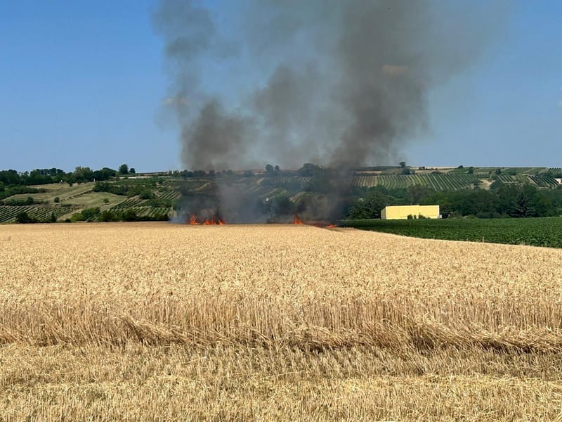 B2 - Vegetationsbrand Feld