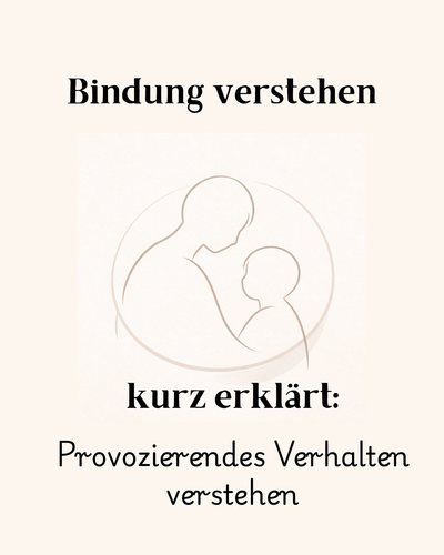 Provozierendes Verhalten verstehen