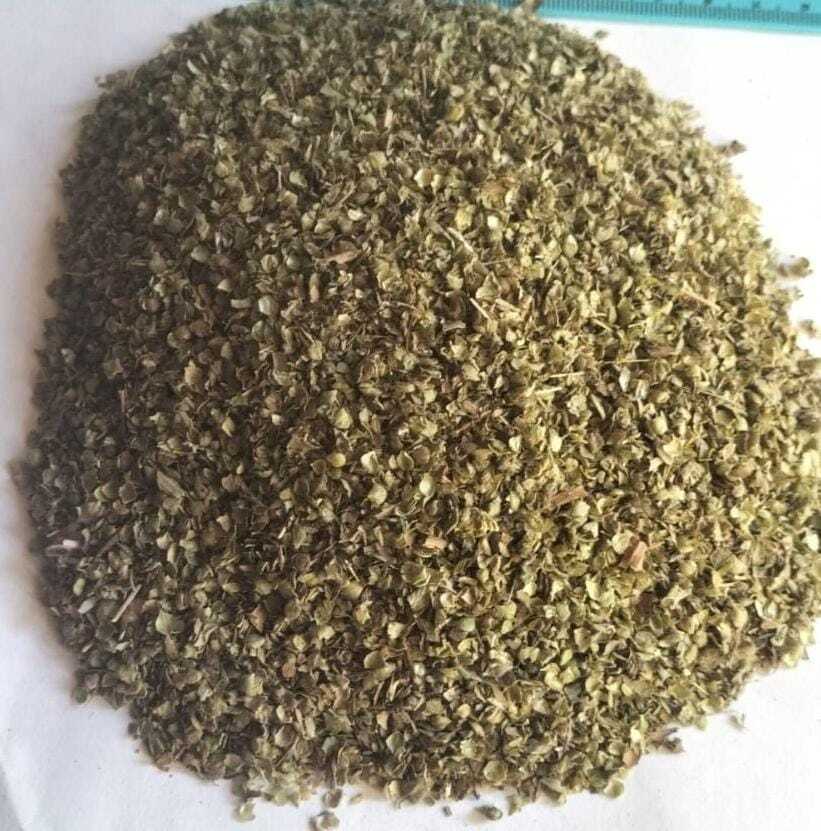 Oregano
