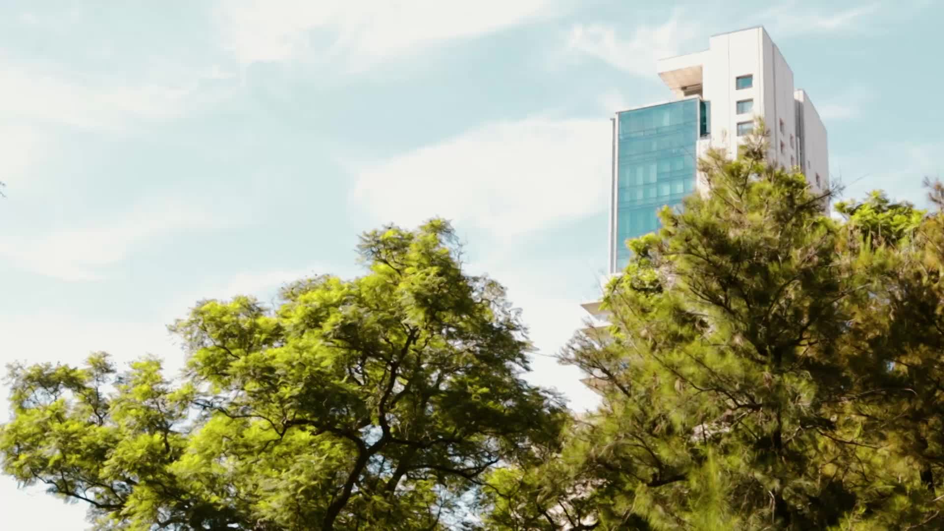 Video Homenaje - SOPHI