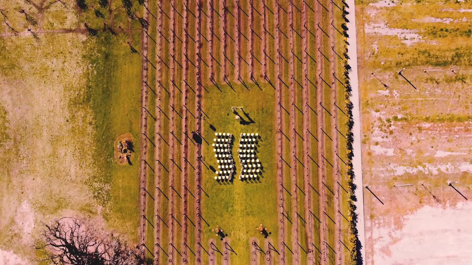 Anto & Tomi - Trailer