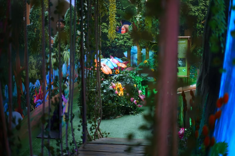 Dora, la exploradora