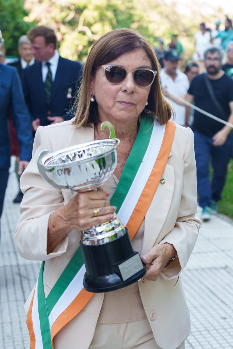 Desfile San Patricio