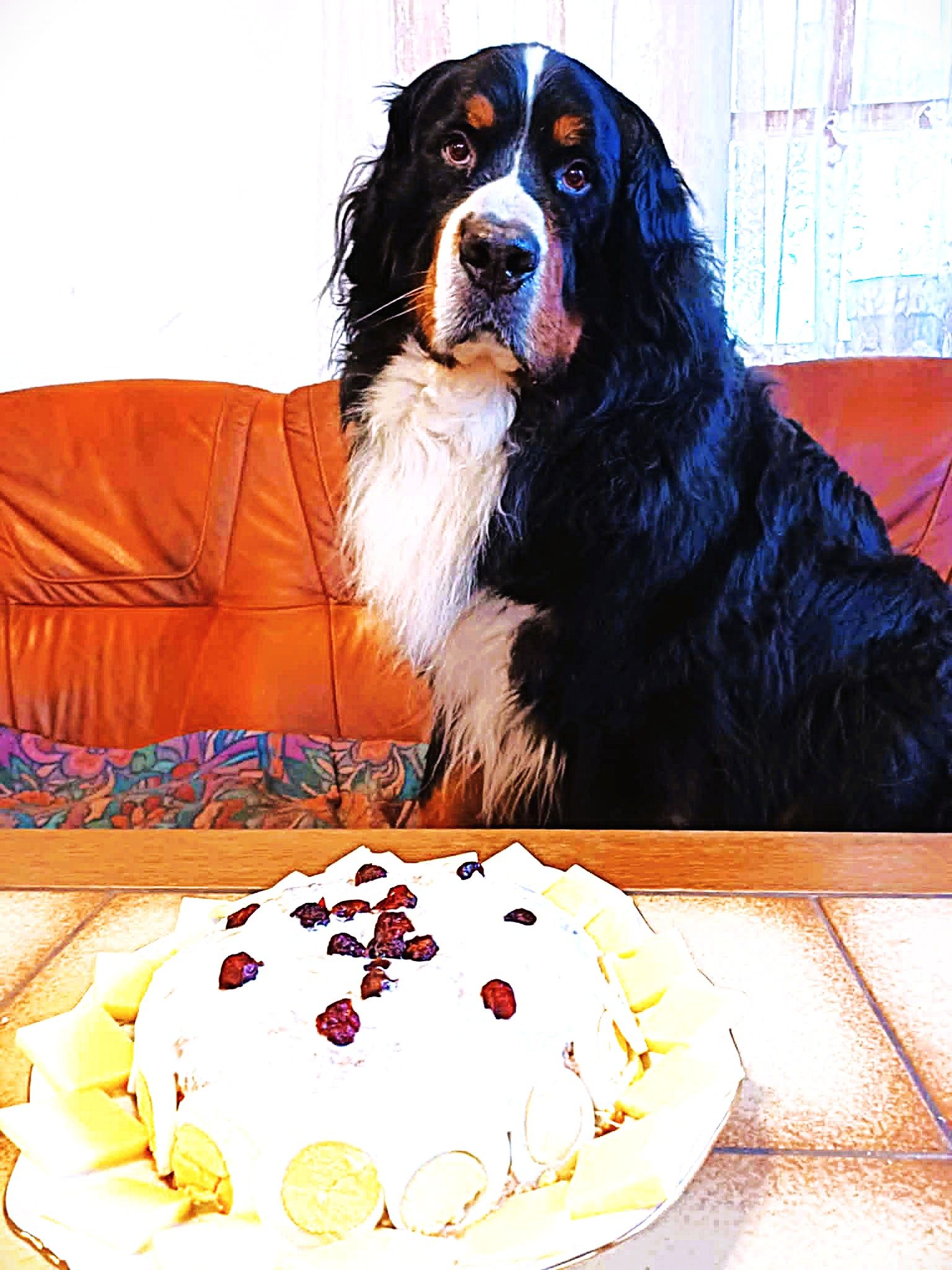 ich wünsche dir alles Liebe zu deinem 7  Geburtstag.