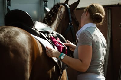 Cursus "ALLES ROND HET PAARD" voor volwassenen start 1.3.2025
