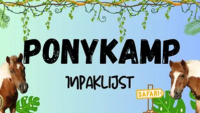 Ponykamp 2025 zonder overnachten 21 juli 2025