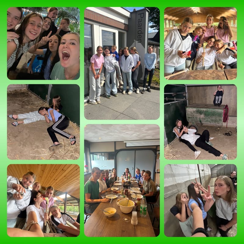 Pony en ruiterkamp 2026