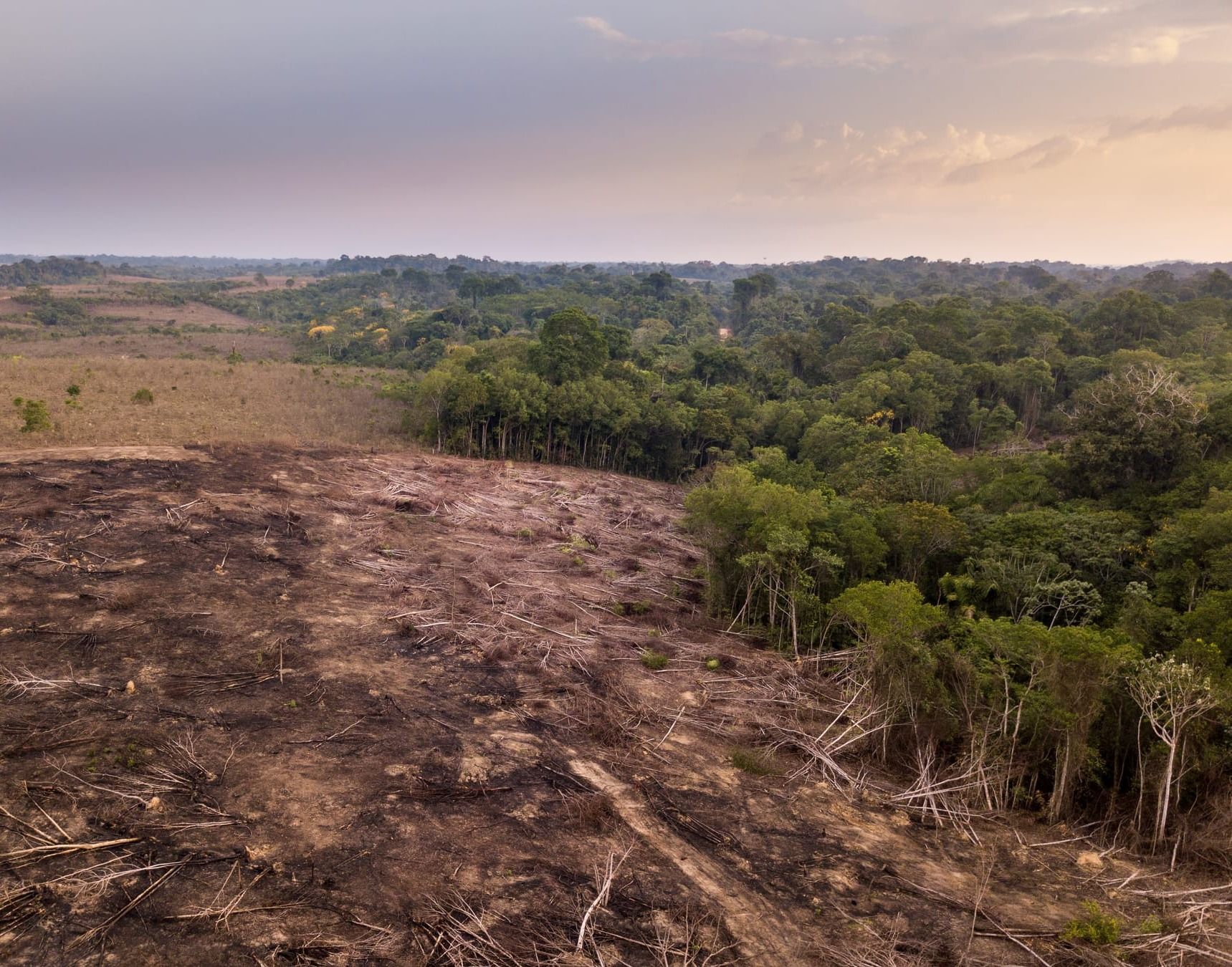 Frolendingen 20.11.2025: Vi må bruke natur for å få til utvikling
