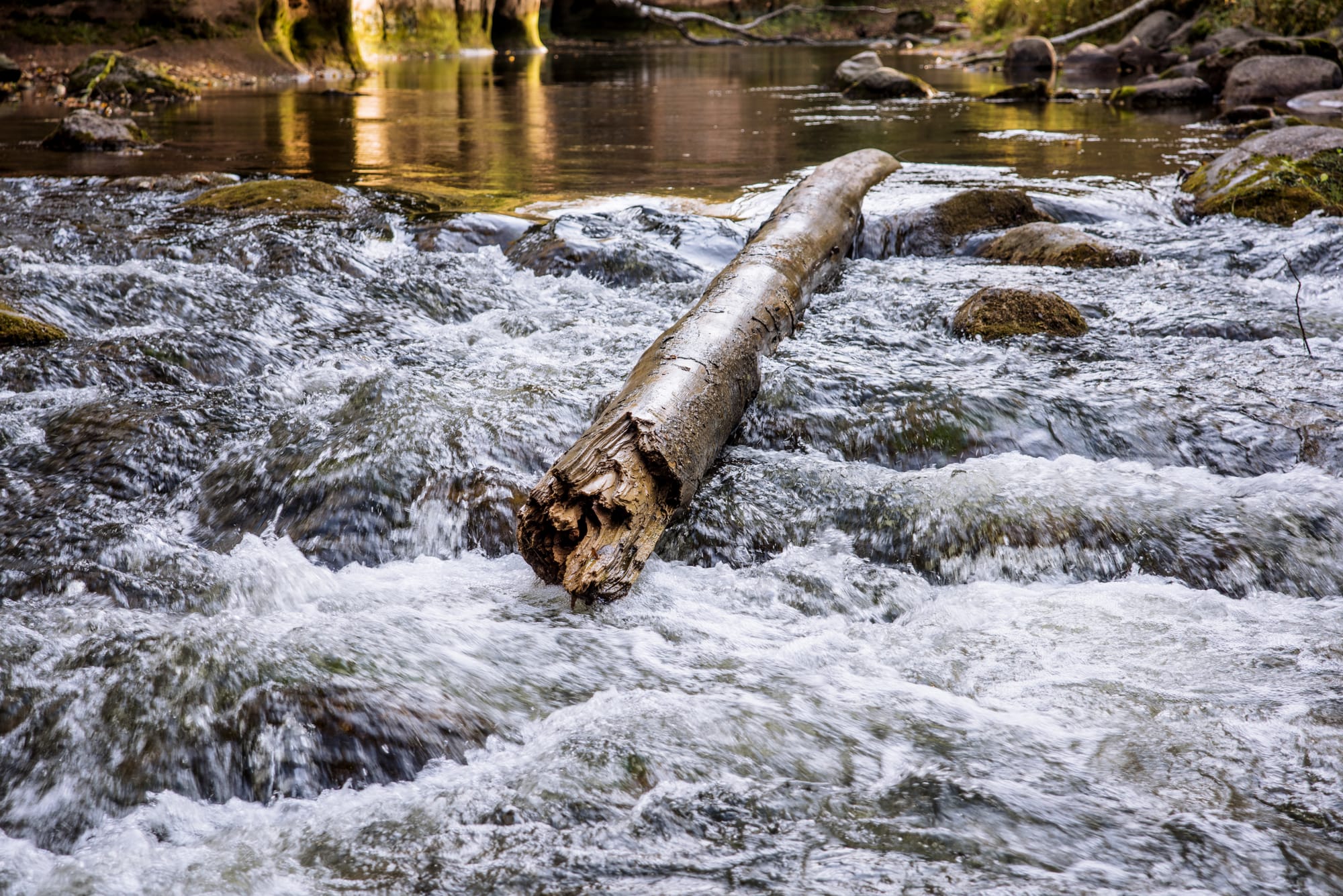 Høringsinnspill fra Fortidsminneforeningen