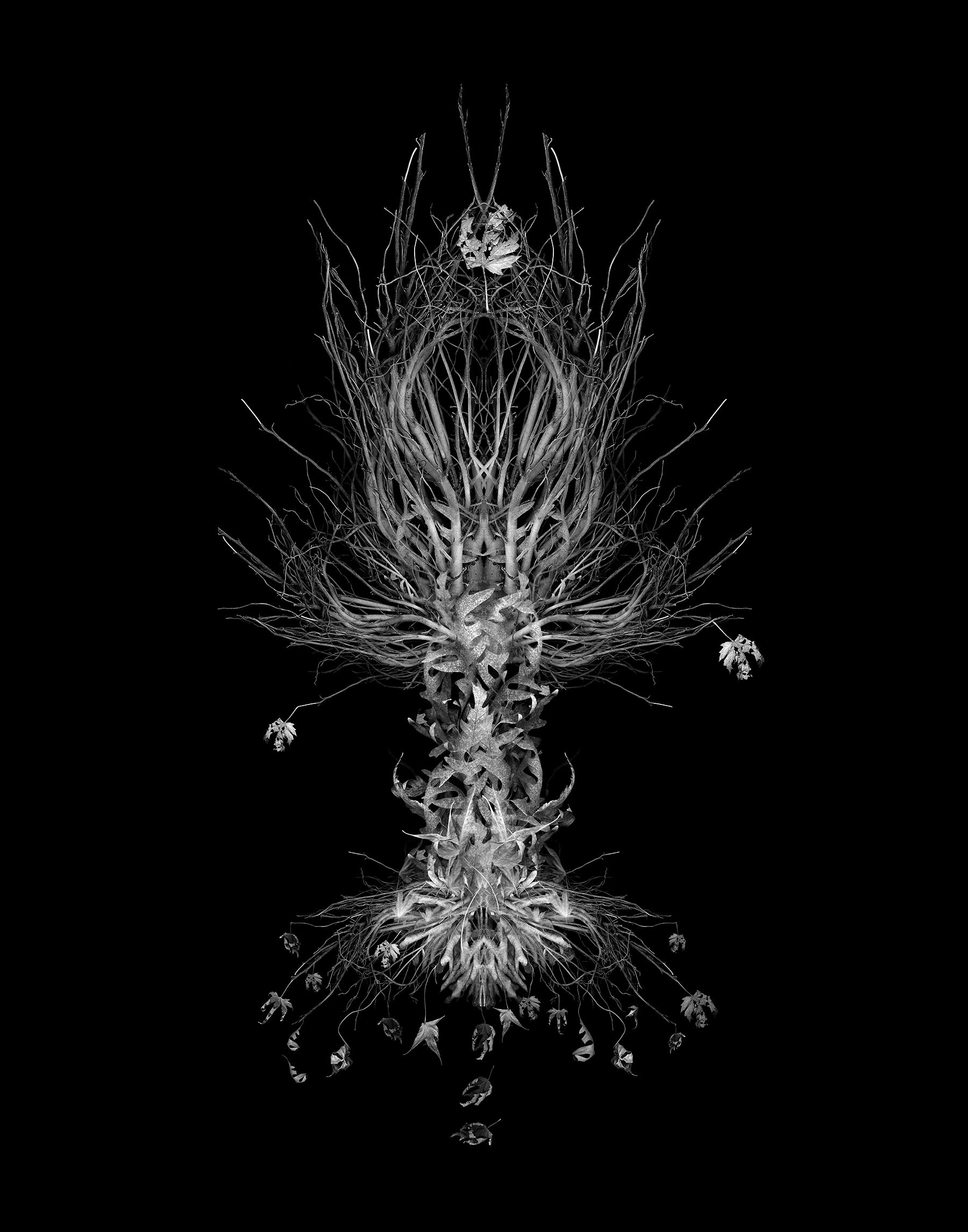 the tree of knowledge of good and evil