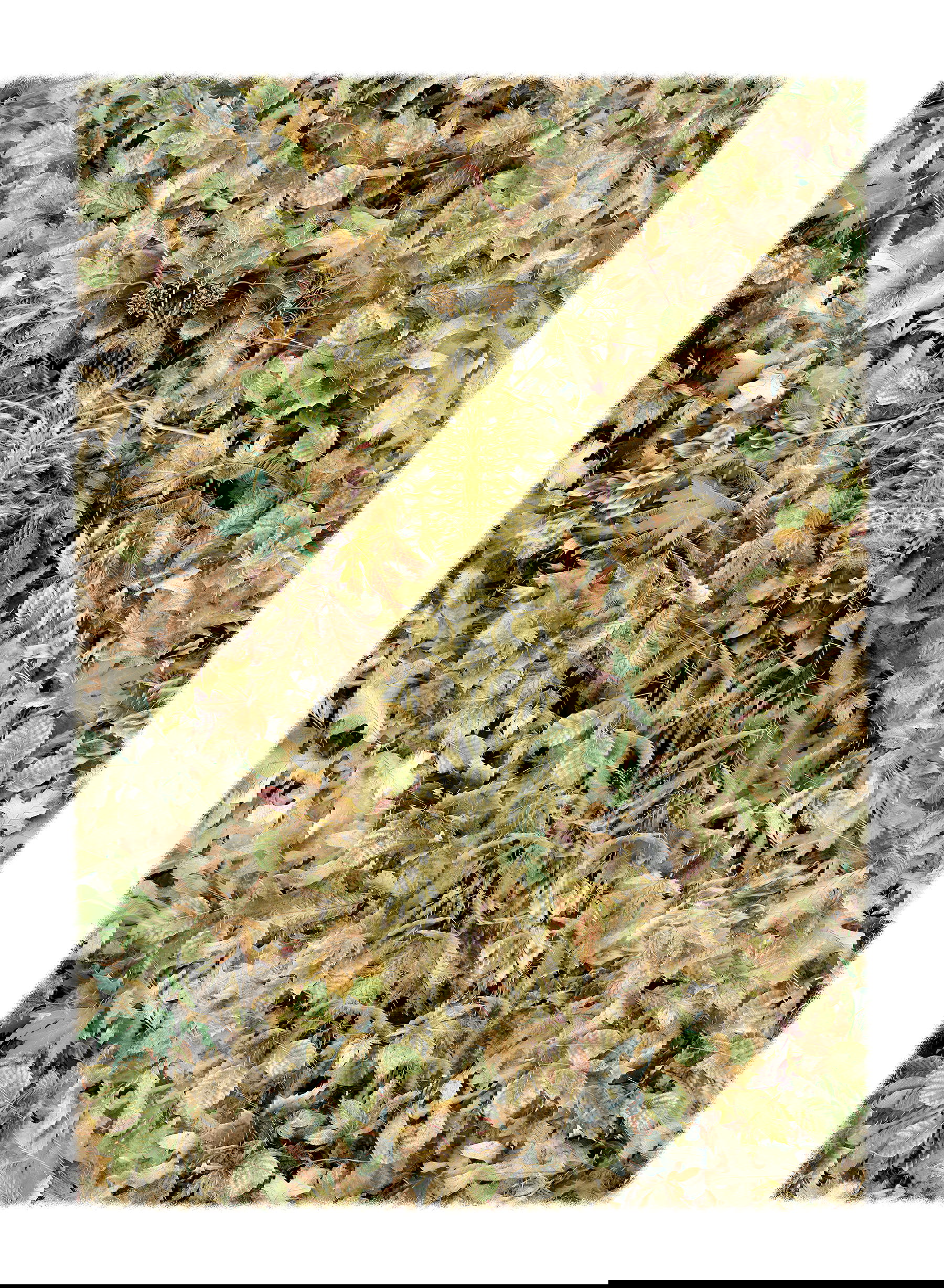 (re)generations v