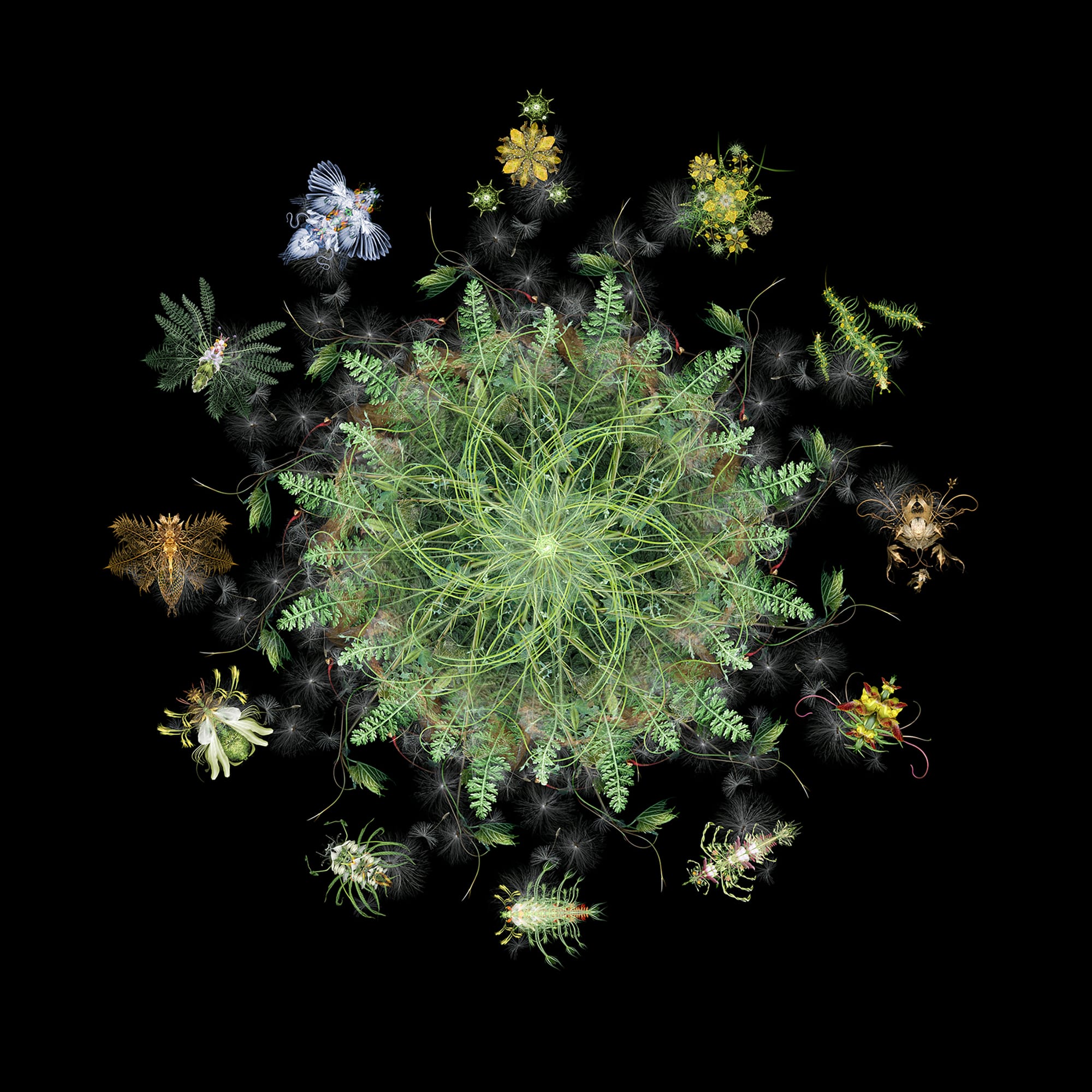 (r)evolution i