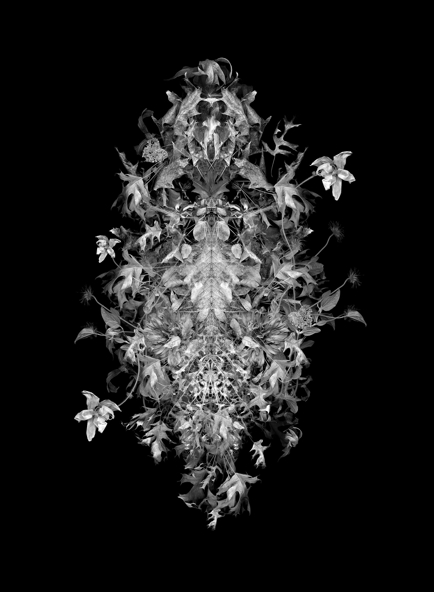 burial shroud