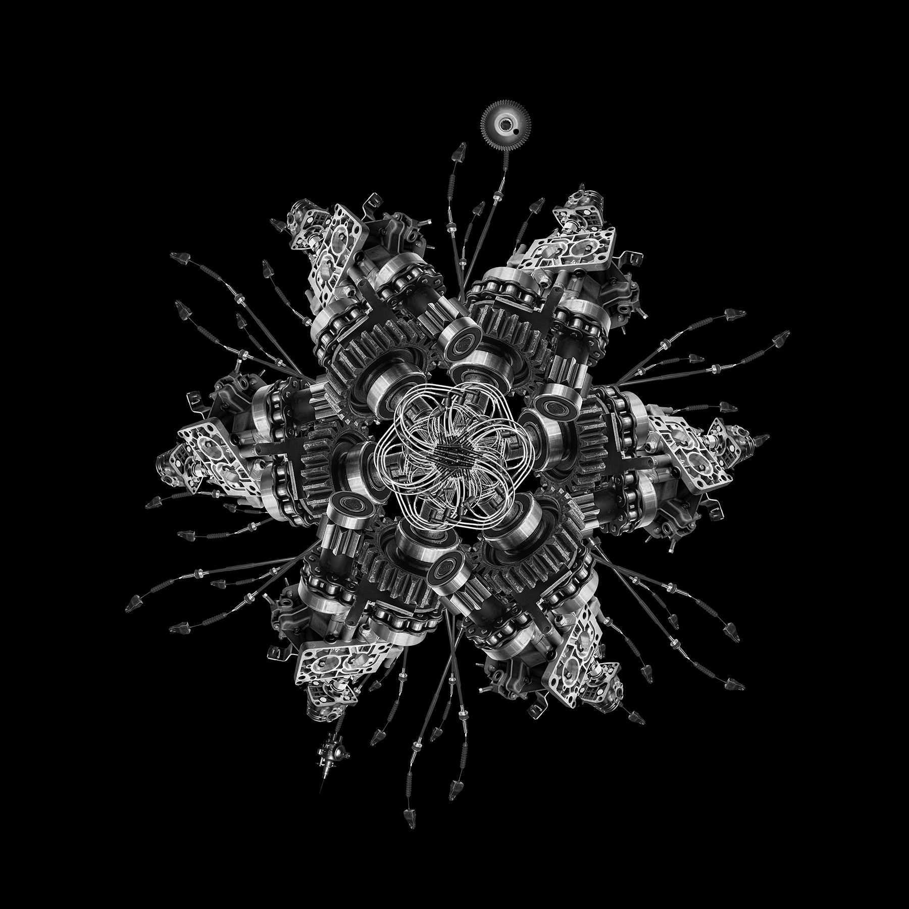virus vi