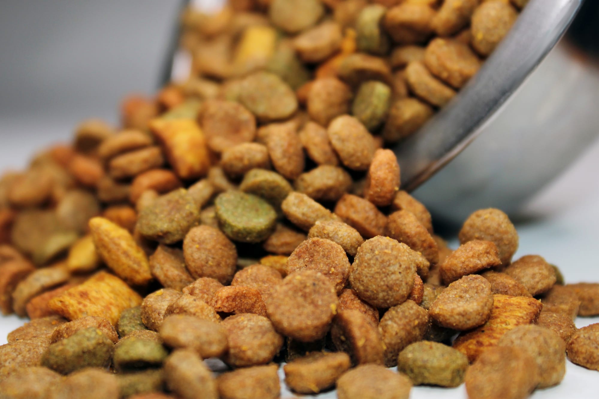 Top 10 Biscuits Cats Love to Enjoy