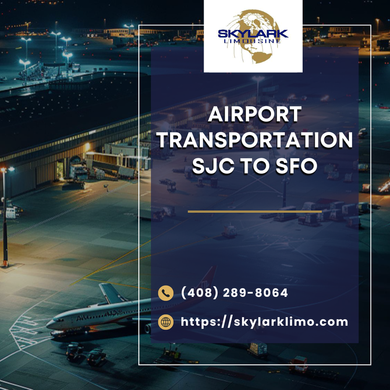 Bay Area Charter Bus Rental – Comfortable Group Travel with Skylark Limo