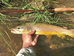 Wisconsin,Iowa,& Minnesota "Driftless Region"