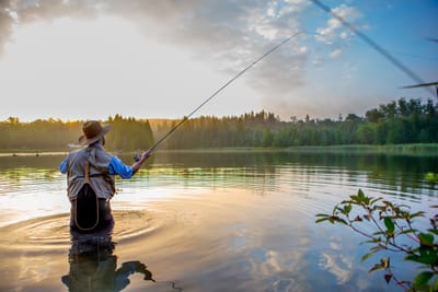 Essential Gear for Successful Fly Fishing