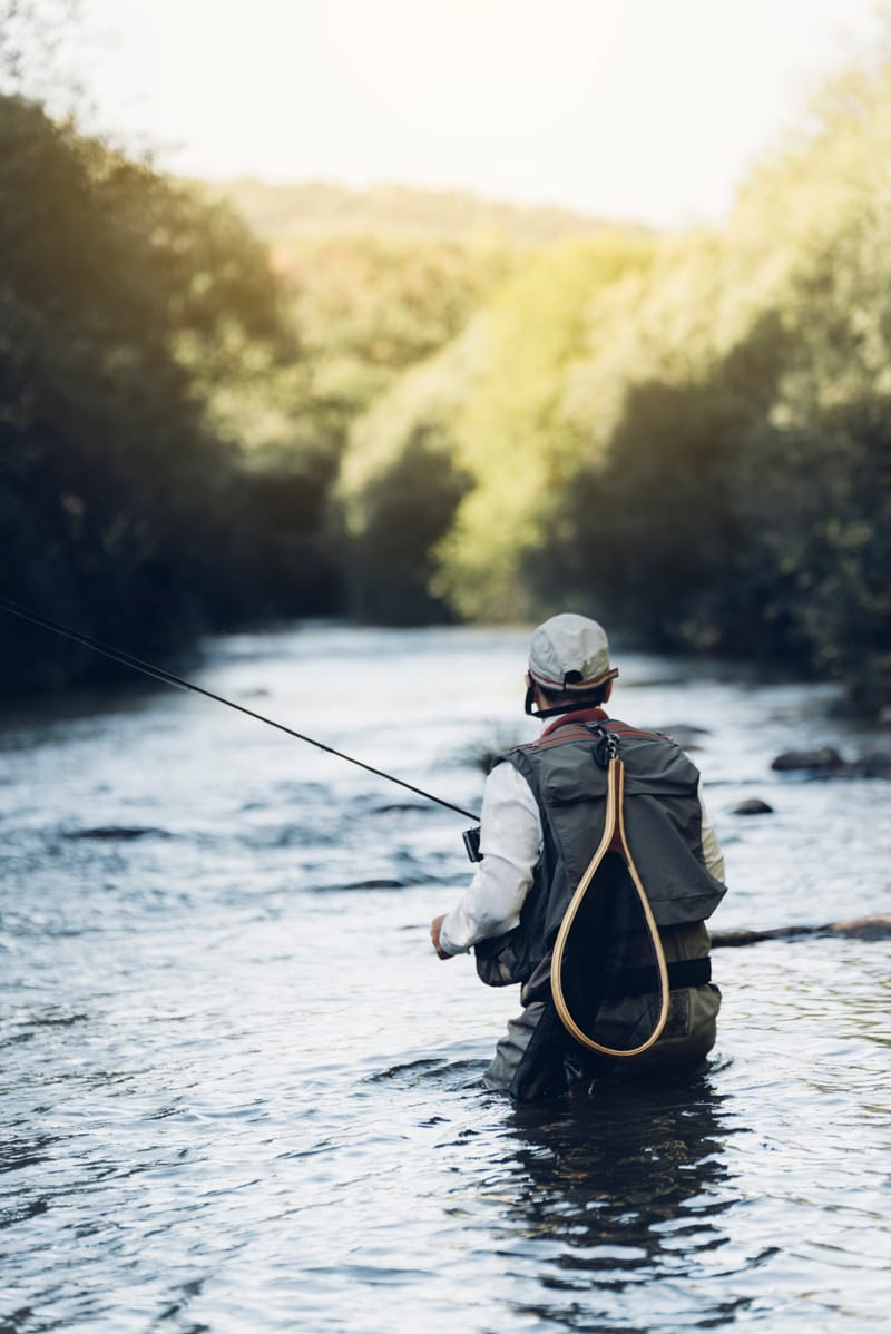 Essential Gear for Successful Fly Fishing