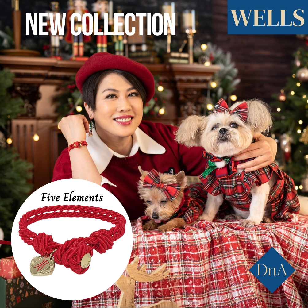 DnA Collection ~ Bracelet