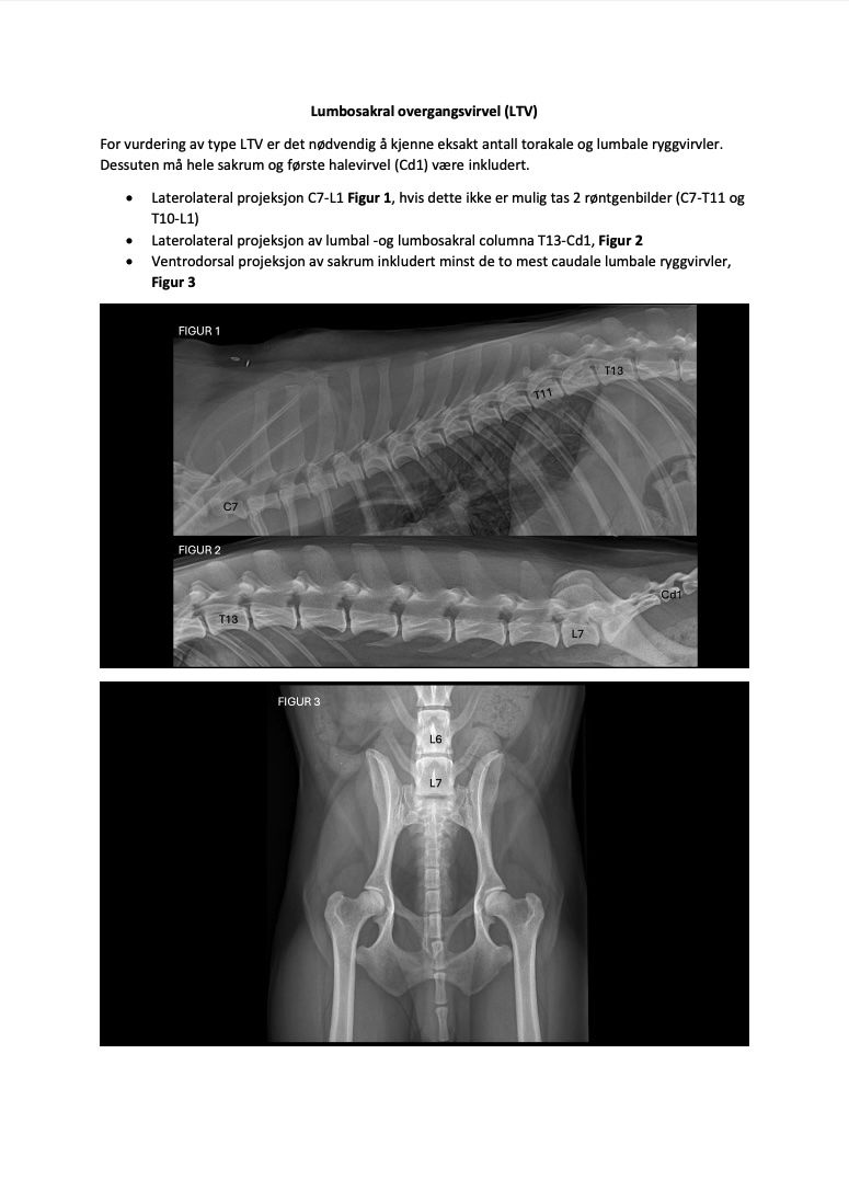 Posedyrebeskrivelse røntgen
