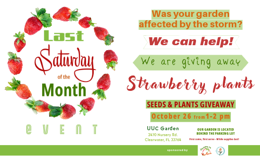 FOOD FOREST GARDENING COMMUNITY