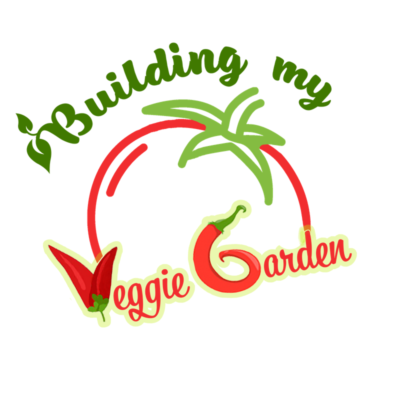 BUILDING MY VEGGIE GARDEN