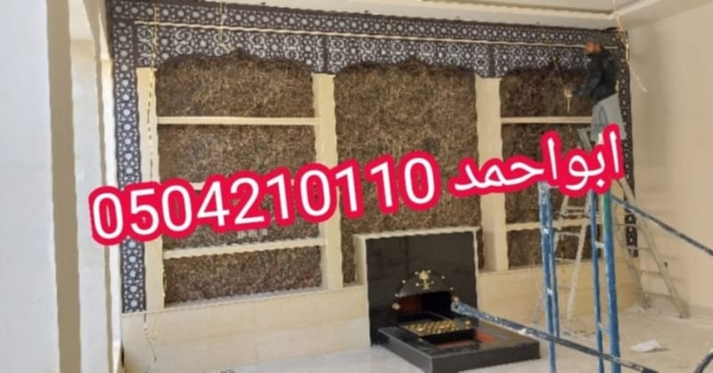 مشبات