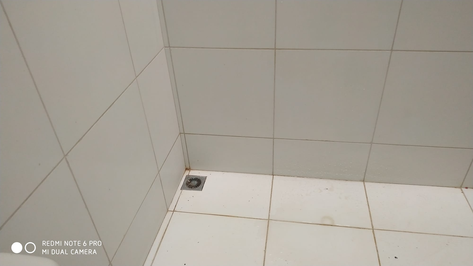 Rua João Pereira de Carvalho 381 Campo alegre  Juazeiro do Norte