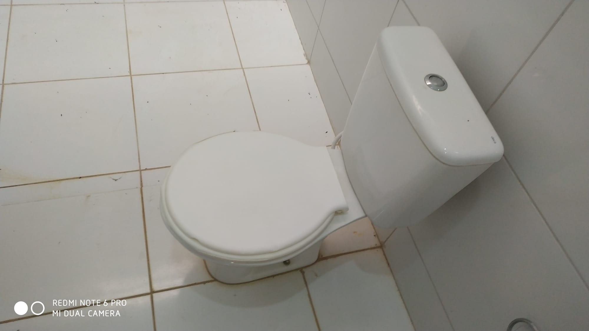 Rua João Pereira de Carvalho 381 Campo alegre  Juazeiro do Norte