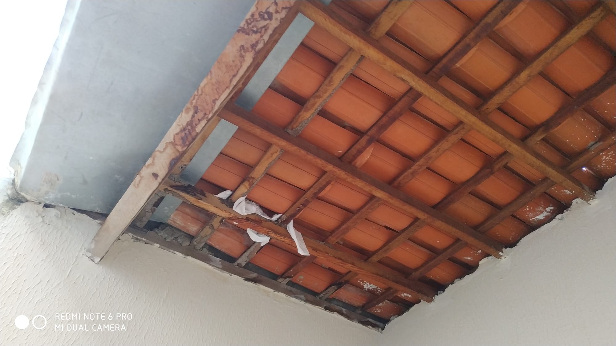 Rua João Pereira de Carvalho 381 Campo alegre  Juazeiro do Norte