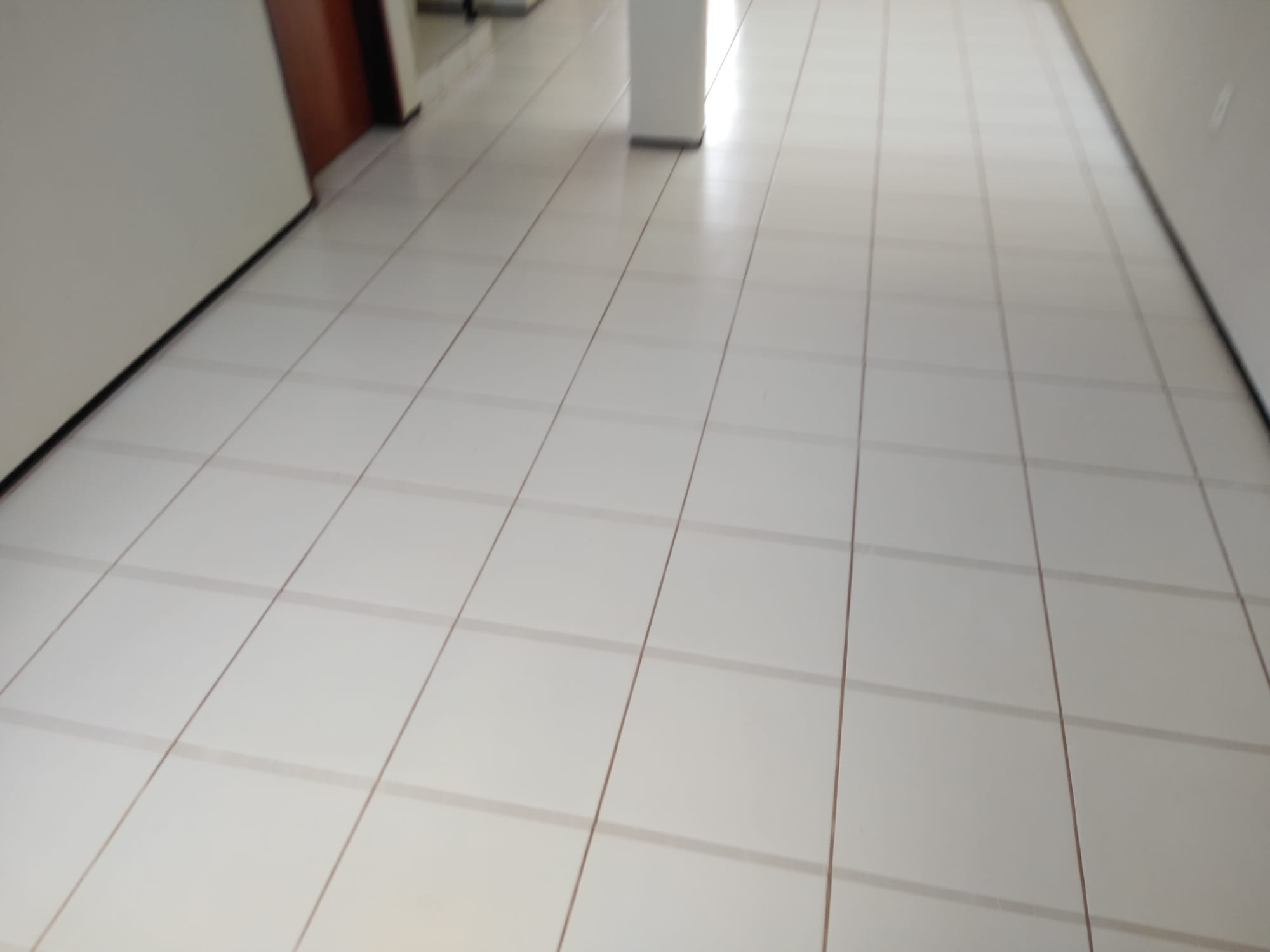 Rua Zuca Sampaio, 586, Vila Santo Antonio Barbalha