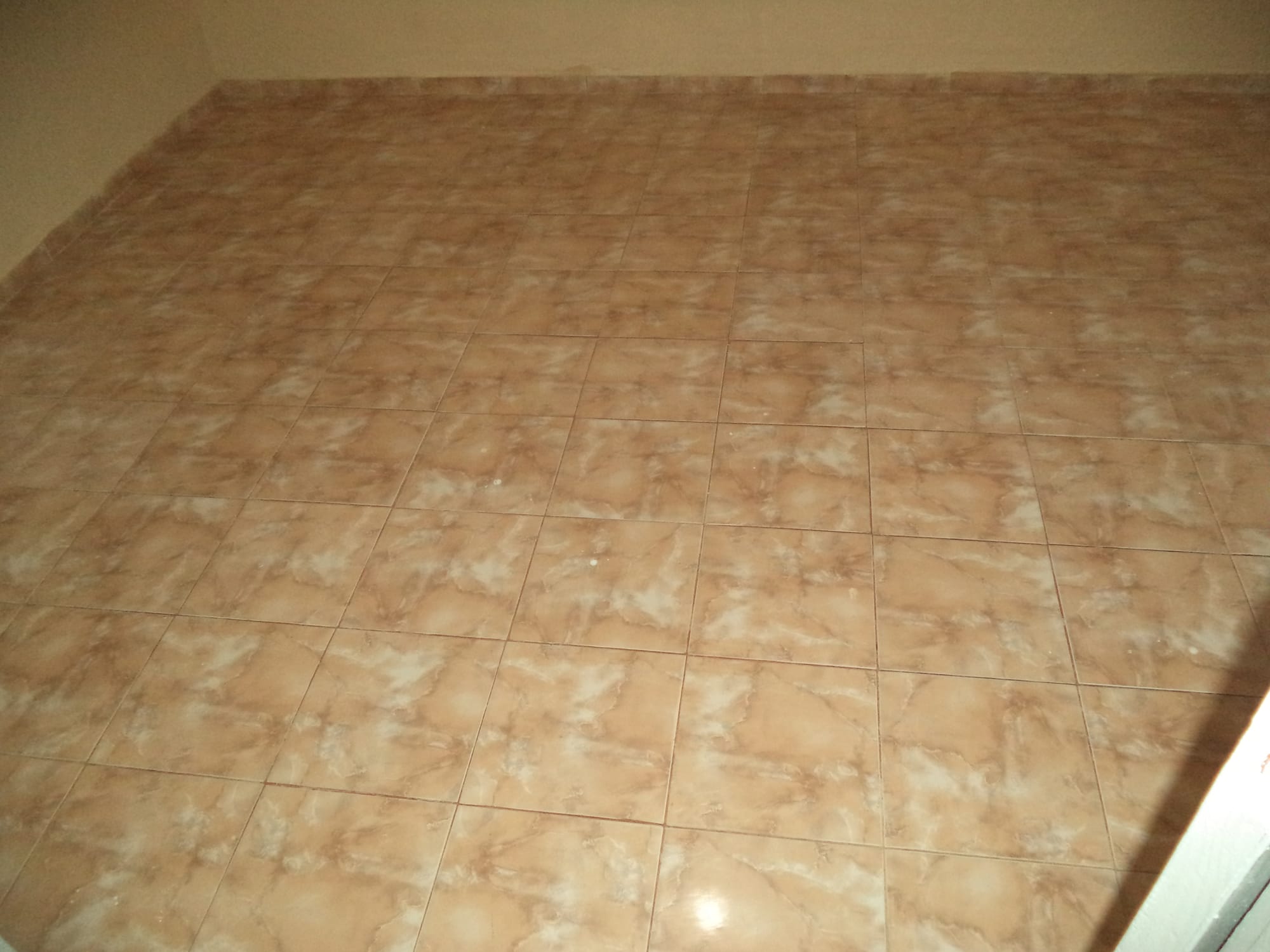 Rua L-13, 103 bairro Cirolàndia Barbalha