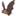 🦇