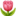 🌷