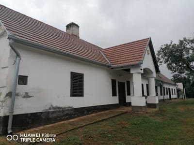 Red Hot Run Group társadalmi szerepvállalásai 💖