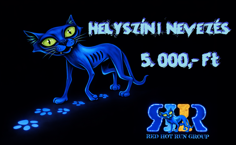 🌍💙 Kék Kör 💙Sporttal az Egészségügyért!🌍