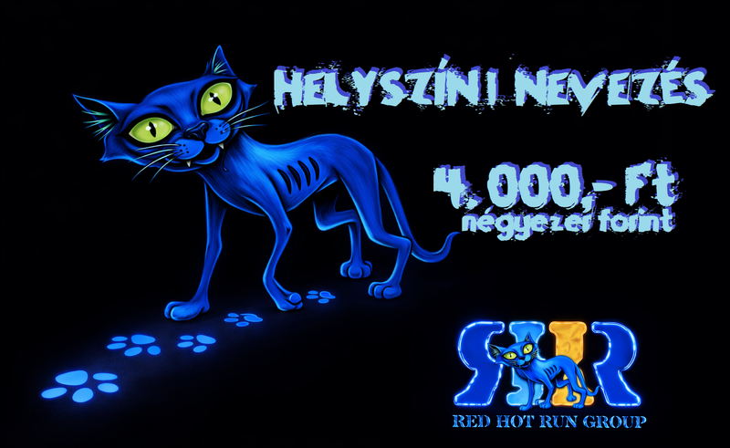 🌍Balatonederics💙 II. Kék Kör 💙Sporttal az Egészségügyért!🌍