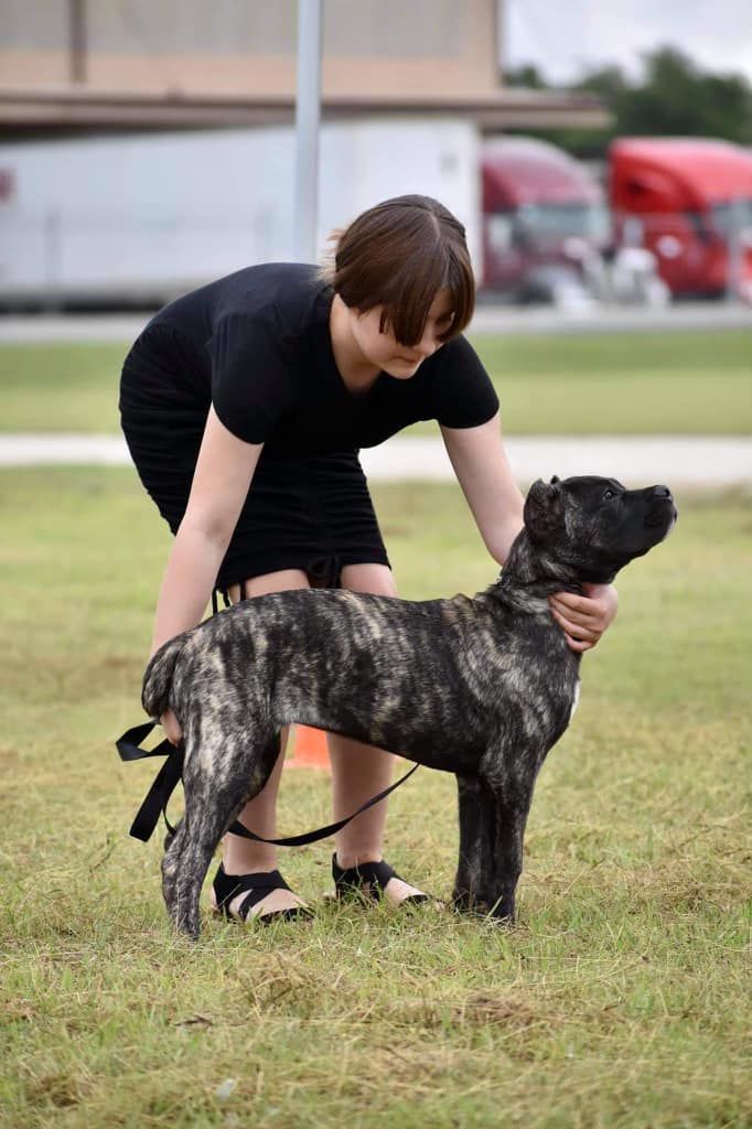 Killing Joke's 3K Scream