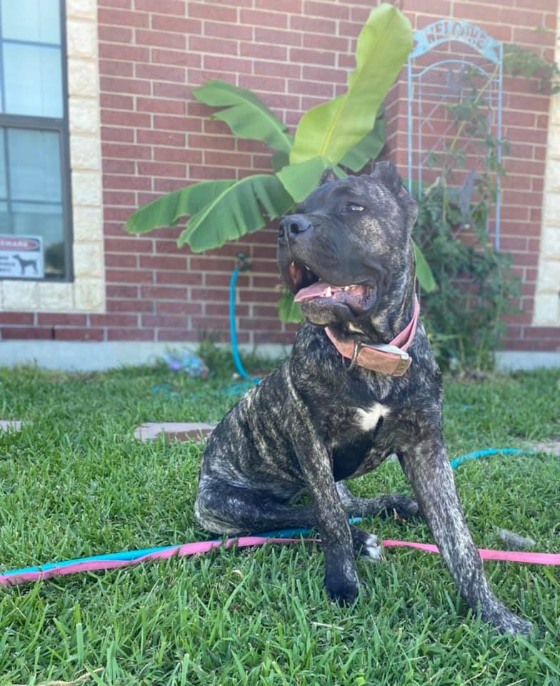 Killing Joke's 3K Scream