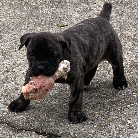 Killing Joke's 3K Scream