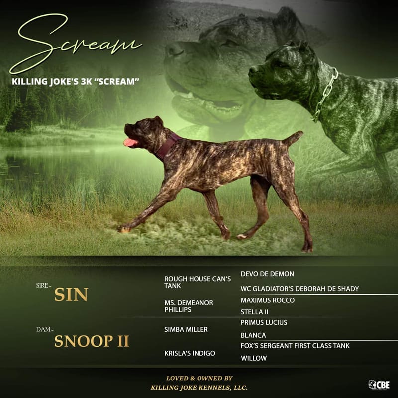 Killing Joke's 3K Scream