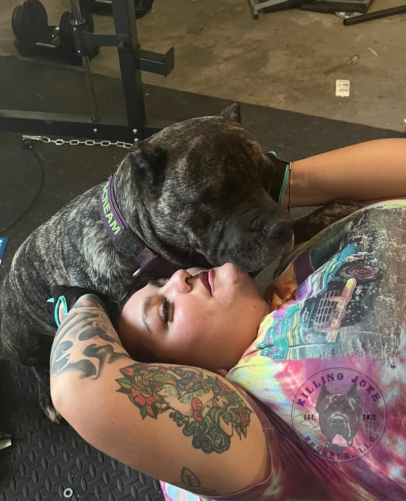 Killing Joke's 3K Scream