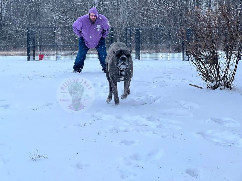 Killing Joke's 3K Scream