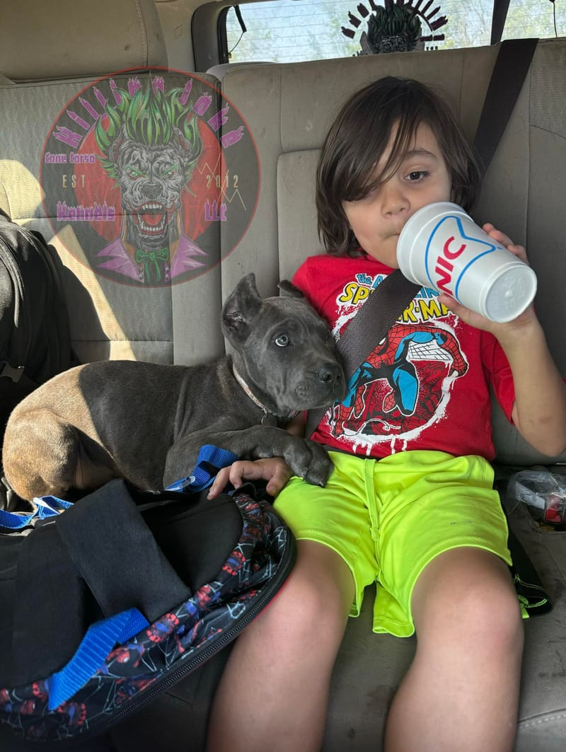 KJCC Banshee Song of Death & Sorrow